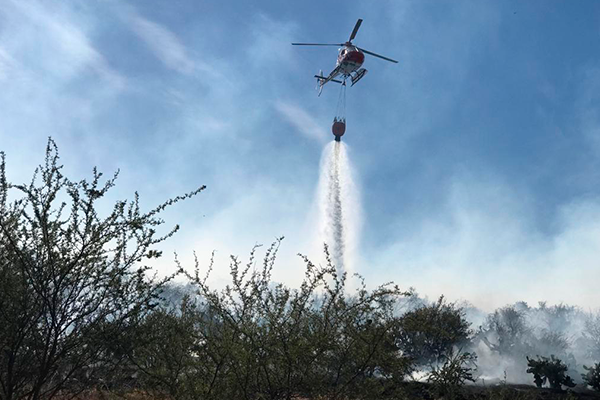 Incendio-forestal-en-Batuco.png