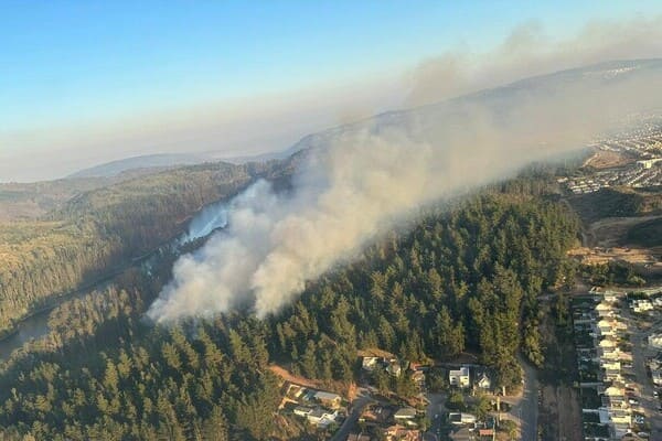 Declaran Alerta Amarilla por incendio forestal en Valparaíso Chicureo Hoy