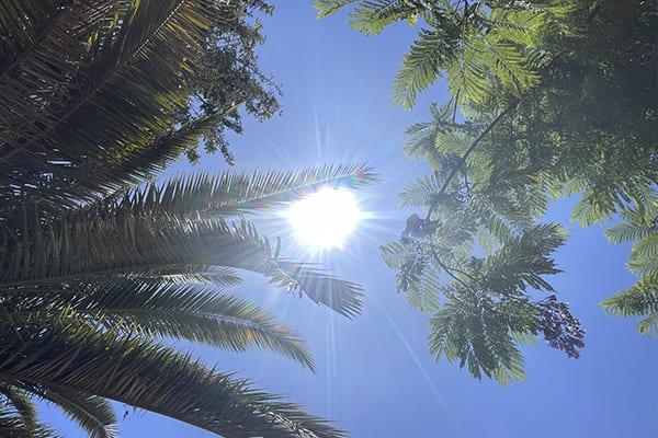 Cómo estará el tiempo en Colina este jueves Chicureo Hoy