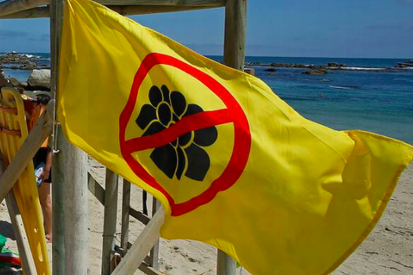 ¿Qué significa la bandera amarilla que comenzó a implementarse en el