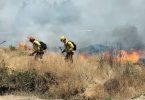 Incendio en pastizales