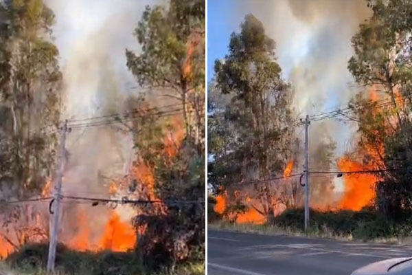 incendio-lampa-batuco-santa-rosa-10-dic-2.jpg