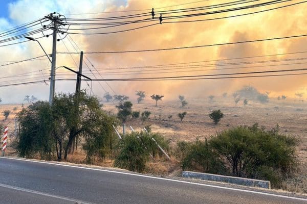 incendio-forestal-batuco-lampa.jpg