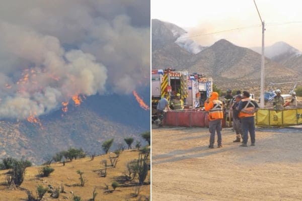 incendio-forestal-manuel-rodriguez-tiltil.jpg